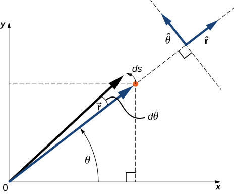 The cartesian x y coordinate system and the polar coordinate r theta coordinate system are shown. A small change in the position has a change in angle d theta and displacement d s. The position unit vector r hat and arc length theta hat unit vector both lie in the xy-plane and are perpendicular to each other. R hat is radial, in the same direction as the vector r. Theta hat is in the direction of d s.