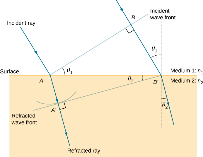 This figure illustrates the geometry of the refraction of the rays and wave fronts. A horizontal surface is present between medium 1, with index of refraction n 1, and medium 2, with index of refraction n 2. An incident ray is shown coming in from medium 1 into medium 2. It hits the surface at point A and refracts toward the normal in medium 2. A line, labeled incident wave front, is drawn from point A extending away from the surface, perpendicular to the incident ray. The angle between the incident wave front and the surface is theta 1. A second incident ray is drawn parallel to the first one. This ray intersects the incident wave front at a point labeled as B and hits the surface at a point labeled as B prime. A dashed line is drawn perpendicular to the surface at B prime. The angle between this perpendicular line and the second ray is also theta one. The triangle formed by A, B, and B prime is a right triangle with angle theta one at A and a right angle at B. The refracted rays at A and B prime bend down, toward the downward perpendiculars to the surface, making an angle of theta two with the vertical direction. The refracted wave front that is perpendicular to the refracted rays and that hits the surface at B prime is drawn. This wave front hits the refraction of the first incident ray at a point marked A prime and makes an angle of theta two with the surface.