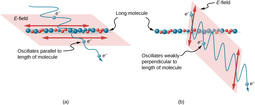 Figure a shows a drawing of a long molecule. An electromagnetic wave goes through the molecule. The wave propagation direction is perpendicular to the molecular axis and the oscillations of the wave are parallel to the molecular axis. Electrons oscillate parallel to the length of the molecule. After passing the long molecule, the amplitude of the oscillations of the wave is significantly reduced. Figure b shows a similar drawing, except that the wave oscillates perpendicular to the axis of the long molecule. The electrons oscillate weakly perpendicular to the length of the molecule. After passing the long molecule, the magnitude of the oscillation of the EM wave is unchanged.