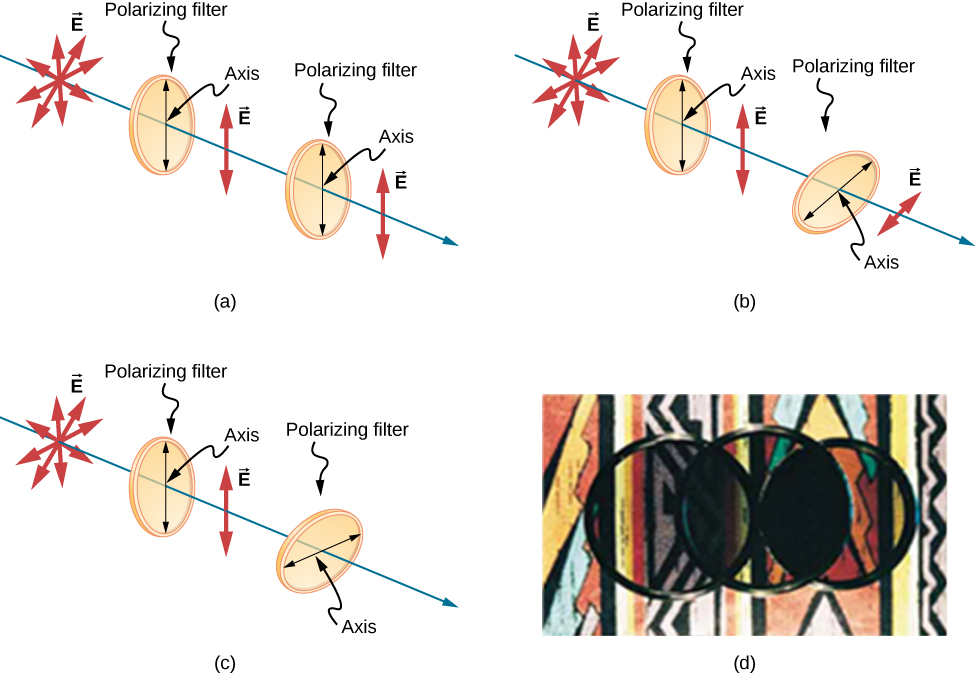 This figure shows three illustrations of randomly polarized light passing through two polarizing filters, one after the other, in various orientations. In figure a, the two filters have axes oriented parallel to each other, in b the axis of the second filter is at an intermediate angle, between zero and ninety degrees, to the first’s, and in c the axis of the second filter is perpendicular to the first’s. Figure d is a photograph of the actual result of the first (parallel) and last (perpendicular) arrangements. In all the arrangements, the source light is randomly polarized, indicated by vector E arrows pointing in every direction in a plane perpendicular to the direction of propagation of the ray. In all the arrangements, the light that passed through the first filter, whose axis is oriented vertically, is vertically polarized, indicated by E vector arrows that only point vertically up and down. In figure a, all of the polarized light is passed by the second polarizing filter, whose axis is parallel to the first, and is still vertically polarized. In figure b, only some of the light is passed by the second polarizing filter, whose axis is tilted relative to the first. The light that passed the second filter is polarized in the direction of the second filter’s axis, and the magnitude of E is reduced. In figure c, where the filter axes are perpendicular to each other, none of the light passes through the second filter. Figure c shows a photo of three circular optical filters placed over a bright colorful pattern. Two of these filters are place next to each other and the third is placed on top of the other two so that the center of the third is at the point where the edges of the two filters underneath touch. Some light passes through where the upper filter overlaps the left-hand underneath filter. No light passes through where the upper filter overlaps the right-hand lower filter.