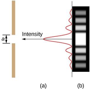 Figure a shows a vertical line on the left side. This has a gap of length a. A vertical wave is shown on the right. The wave has a high crest in the center, corresponding to the slit. The wave attenuates on both top and bottom. An arrow along the central crest of the wave, pointing towards the slit is labeled intensity. Figure b shows a strip with horizontally marked light and dark lines. The central line, corresponding to the slit is the brightest.