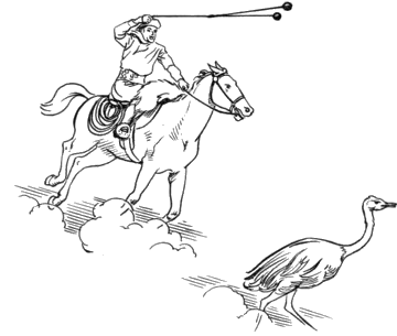 A hunter using bolas while mounted on a horse. (Public Domain; [Pearson Scott Foresman](https://en.Wikipedia.org/wiki/Pearson_Scott_Foresman))