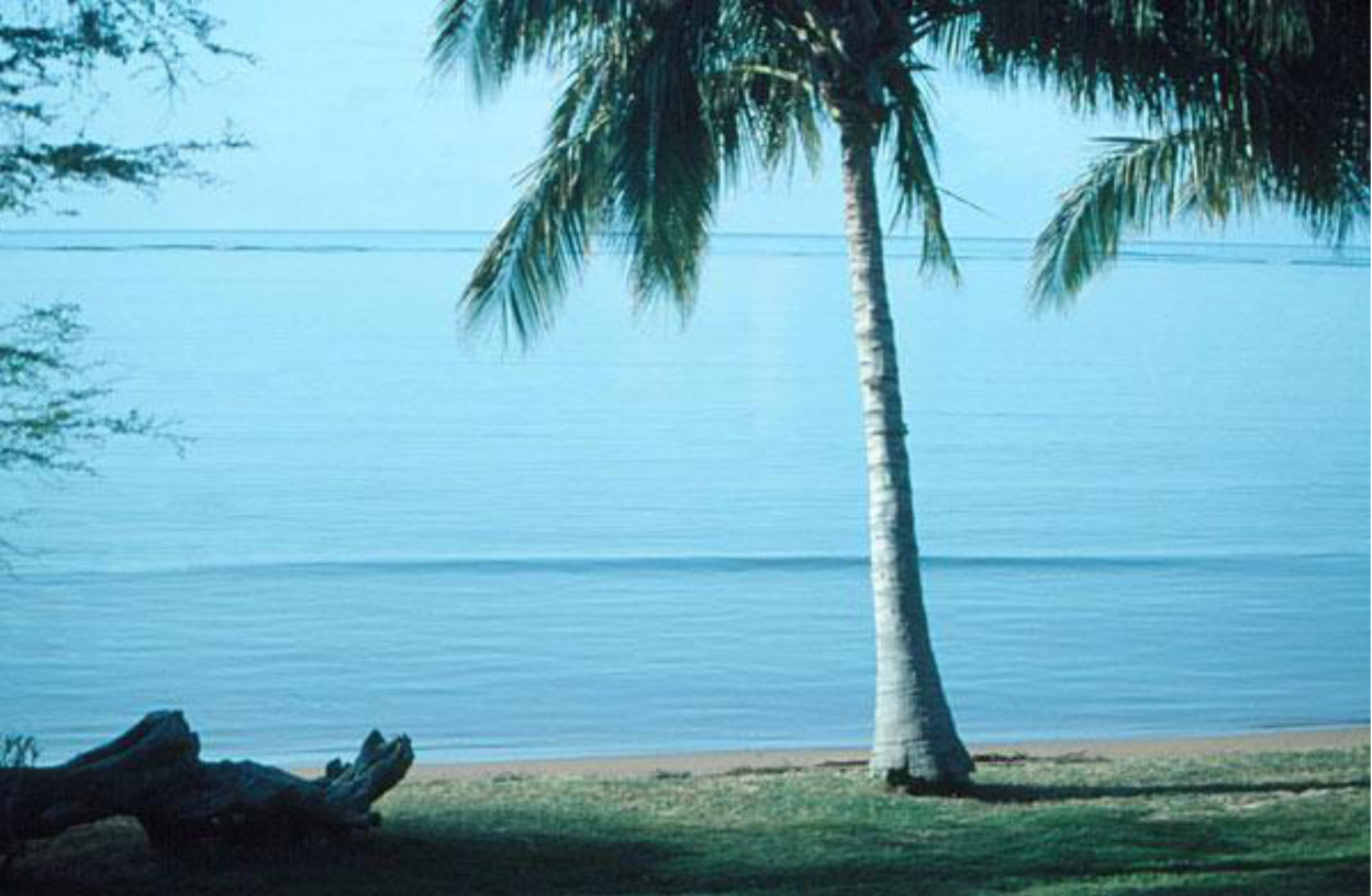 A solitary wave approaches the coast of Hawaii. (Image: Robert Odom/University of Washington)