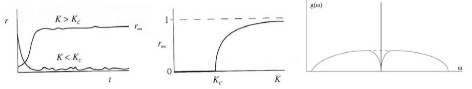 Kuramoto model of collective synchronization of coupled oscillators. The left and center plots show the time and coupling strength dependence of the order parameter r. The right plot shows the frequency dependence including coupling (solid line) and without coupling (dashed line).